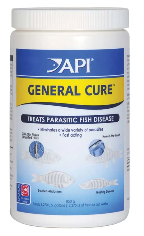 API GENERAL CURE POWDER 850 G