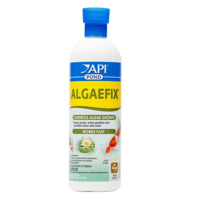 API POND ALGAE FIX 16OZ