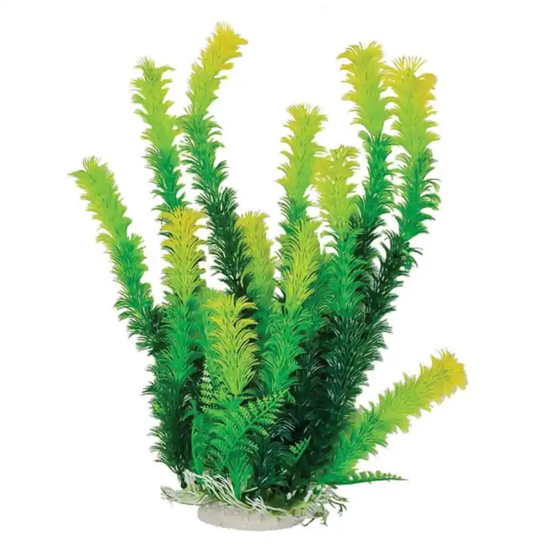 Aquatop 16" BUSHY GREEN PLANT