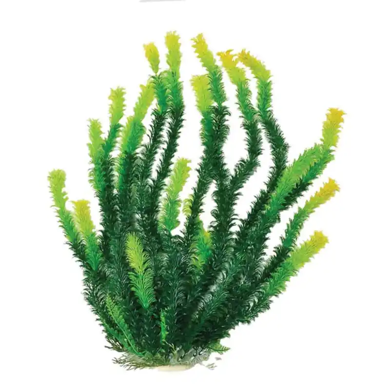 Aquatop 20" BUSHY GREEN PLANT