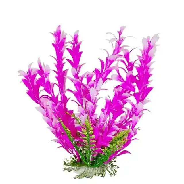 Aquatop 6" BACOPA PINK WHITE PLANT