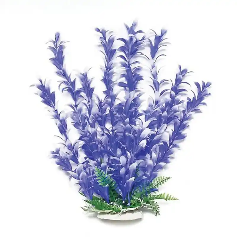 Aquatop PLANT BACOPA BLUE / WHITE 12 IN