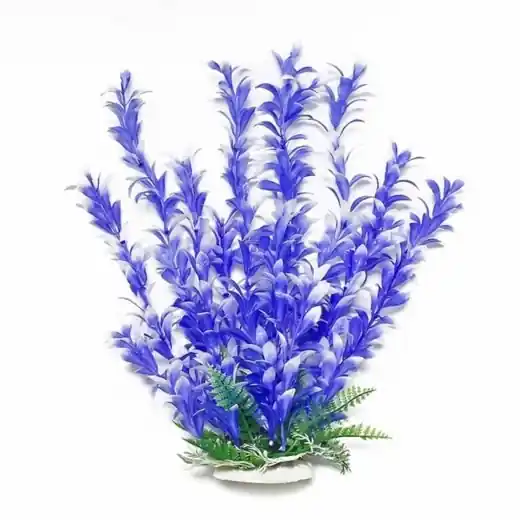 Aquatop PLANT BACOPA BLUE/WHITE 16 IN