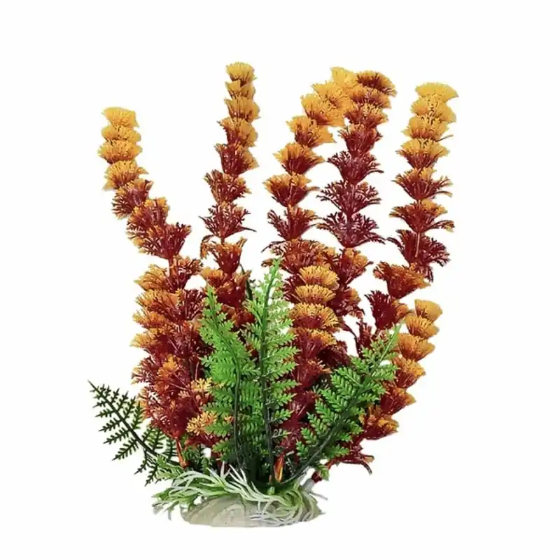 Aquatop PLANT CABOMBA RUST/OR12 IN
