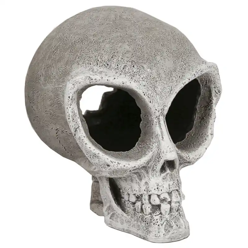 Blue Ribbon ALIEN SKULL SMALL
