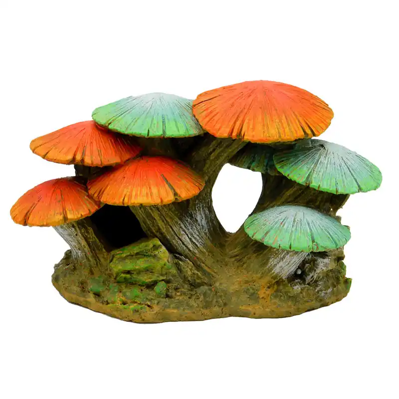 Blue Ribbon MUSHROOM GARDEN