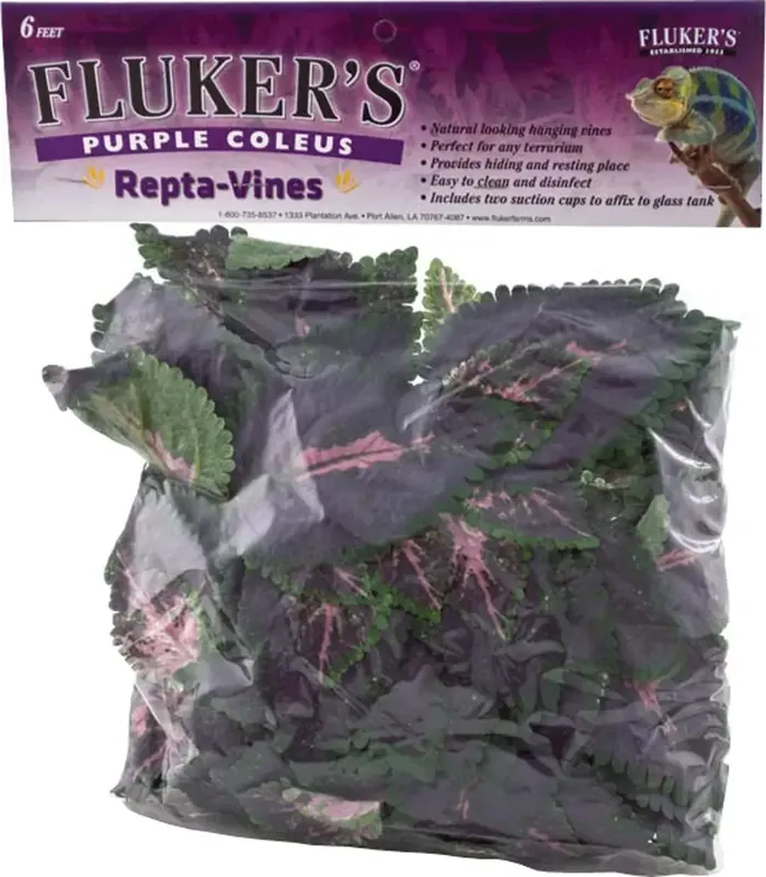 Fluker Farm REPTA VINE PURPLE COLEUS 6 FT