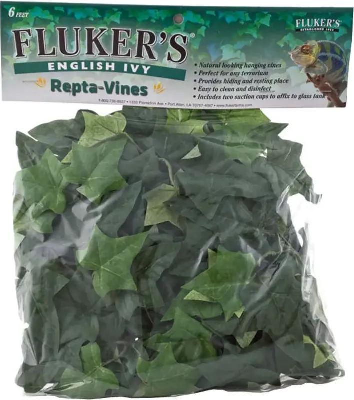 Fluker Farm REPTA VINE ENGLISH IVY 6 FT