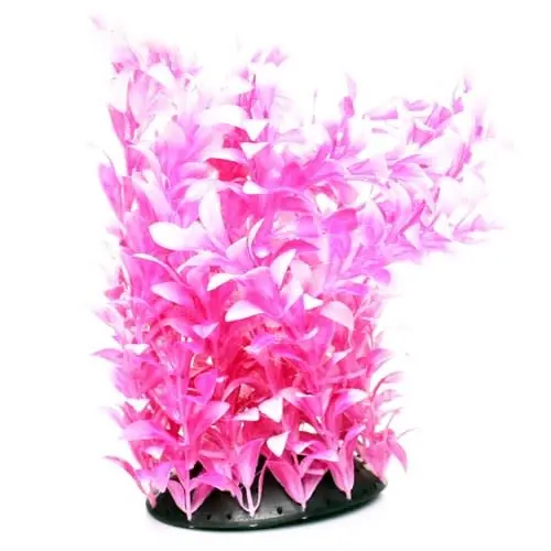 Underwater Treasures WHITE TIPPED LUDWIGIA 12"