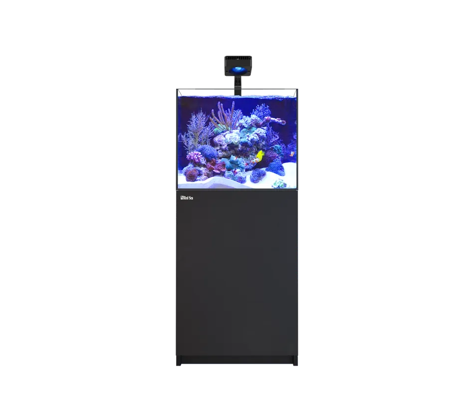 Red Sea REEFER 200 G3 DELUXE - BLACK (INCL. 1 X RL115 & ARM)