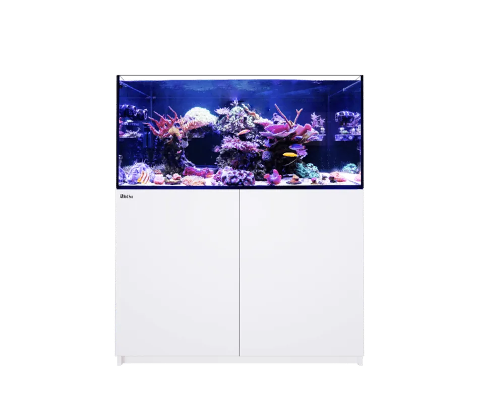 Red Sea REEFER 350 G3 WHITE