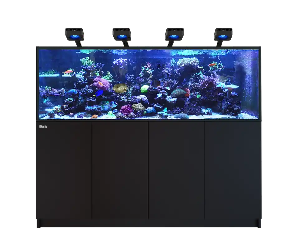 Red Sea REEFER 750 G3 DELUXE - BLACK (INCL. 4 X RL 115 & ARM)