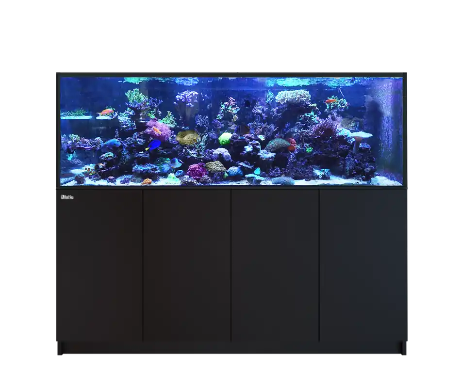 Red Sea REEFER 750 G3 BLACK