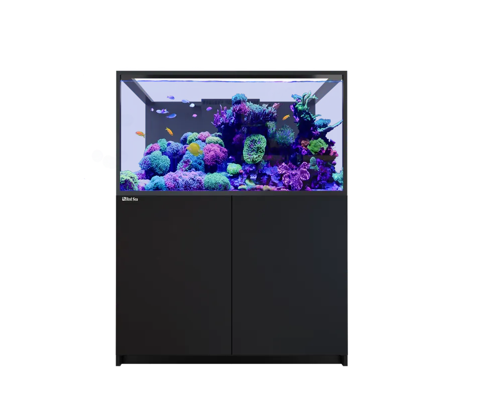 Red Sea REEFER S-550 G3 BLACK