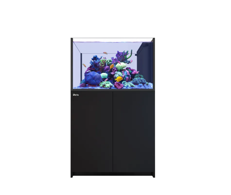 Red Sea REEFER PENINSULA 350 G3 BLACK