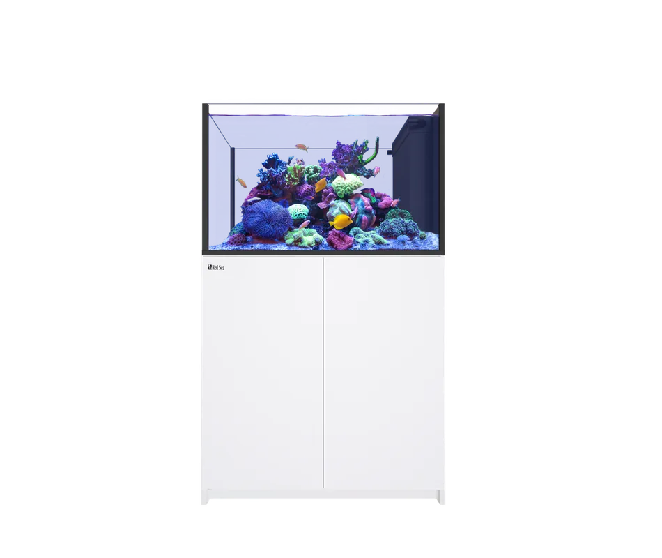 Red Sea REEFER PENINSULA 350 G3 WHITE