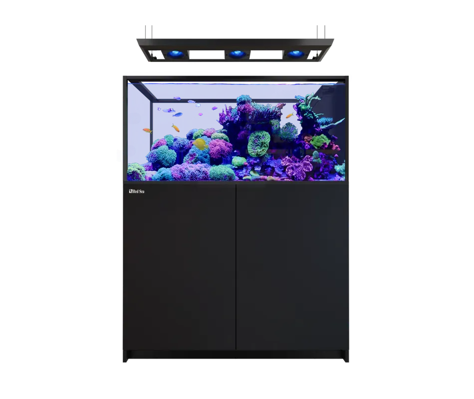 Red Sea REEFER PENINSULA 500 G3 DELUXE BLACK (INCL 3 X RL115 & PENDANT)