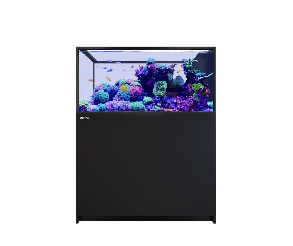 Red Sea REEFER PENINSULA 500 G3 BLACK