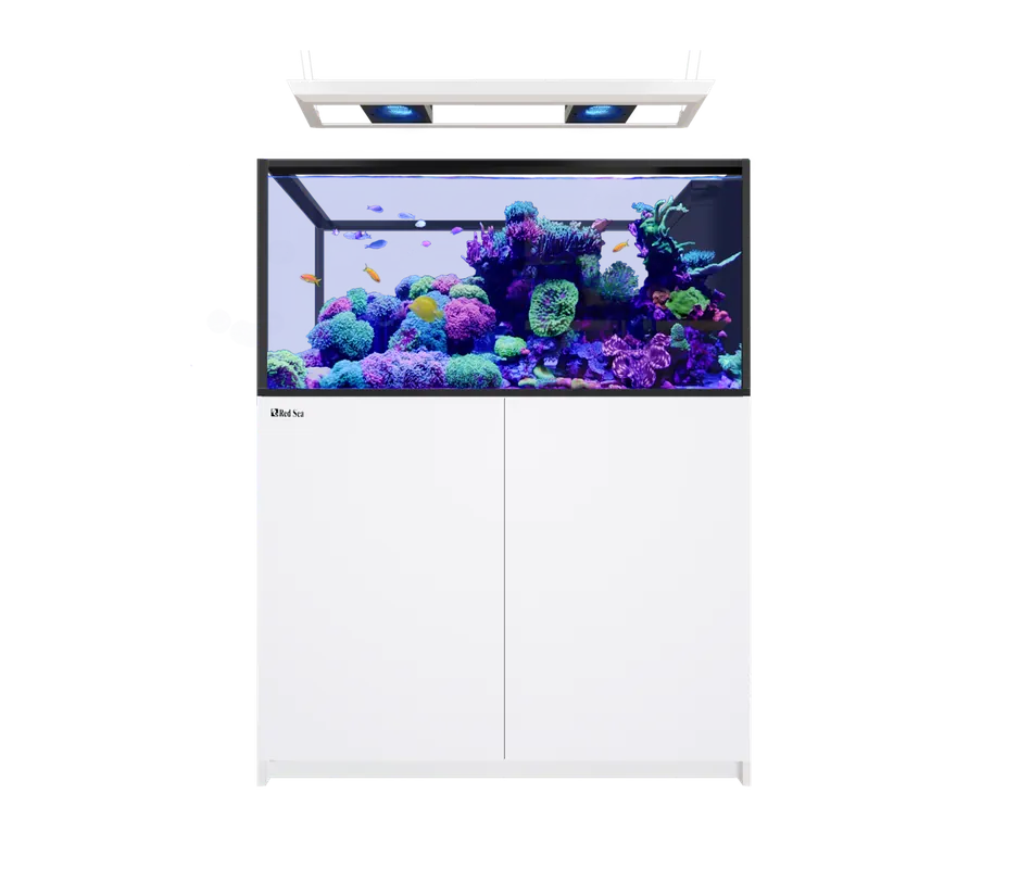 Red Sea REEFER PENINSULA 500 G3 DELUXE WHITE (INCL 2 X RL170 & PENDANT)