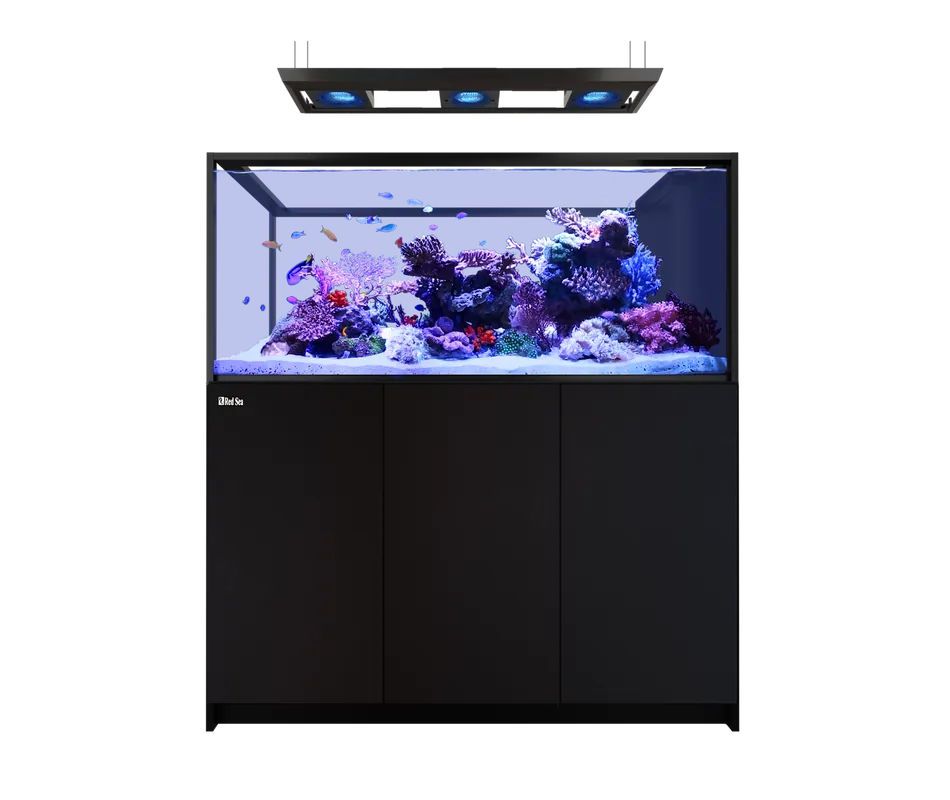Red Sea REEFER PENINSULA S 700 G3 DELUXE BLACK (INCL 3 X RL170 & PENDANT)