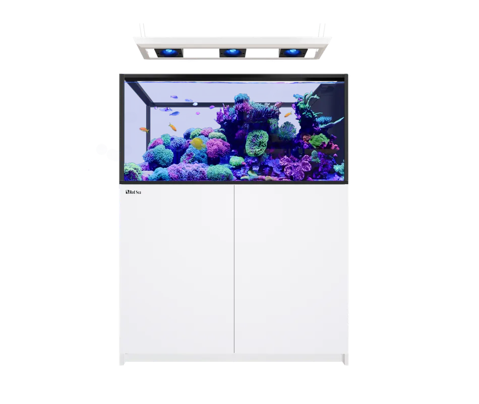 Red Sea REEFER PENINSULA 500 G3 DELUXE WHITE (INCL 3 X RL115 & PENDANT)