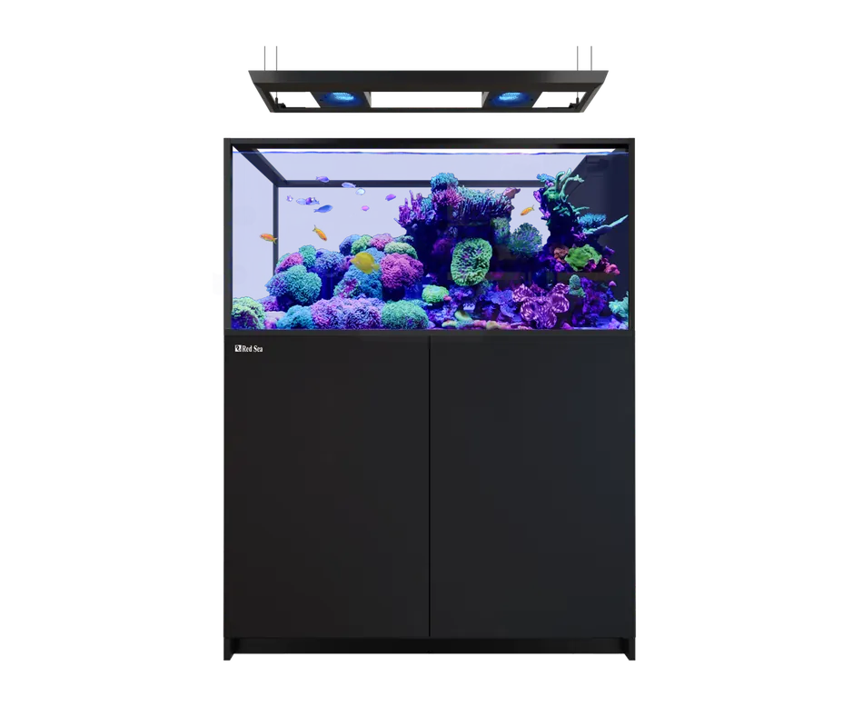 Red Sea REEFER PENINSULA 500 G3 DELUXE BLACK (INCL 2 X RL170 & PENDANT)