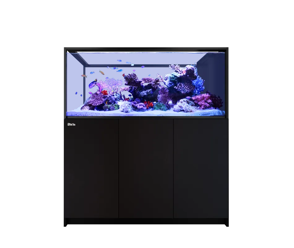 Red Sea REEFER PENINSULA S 700 G3 BLACK