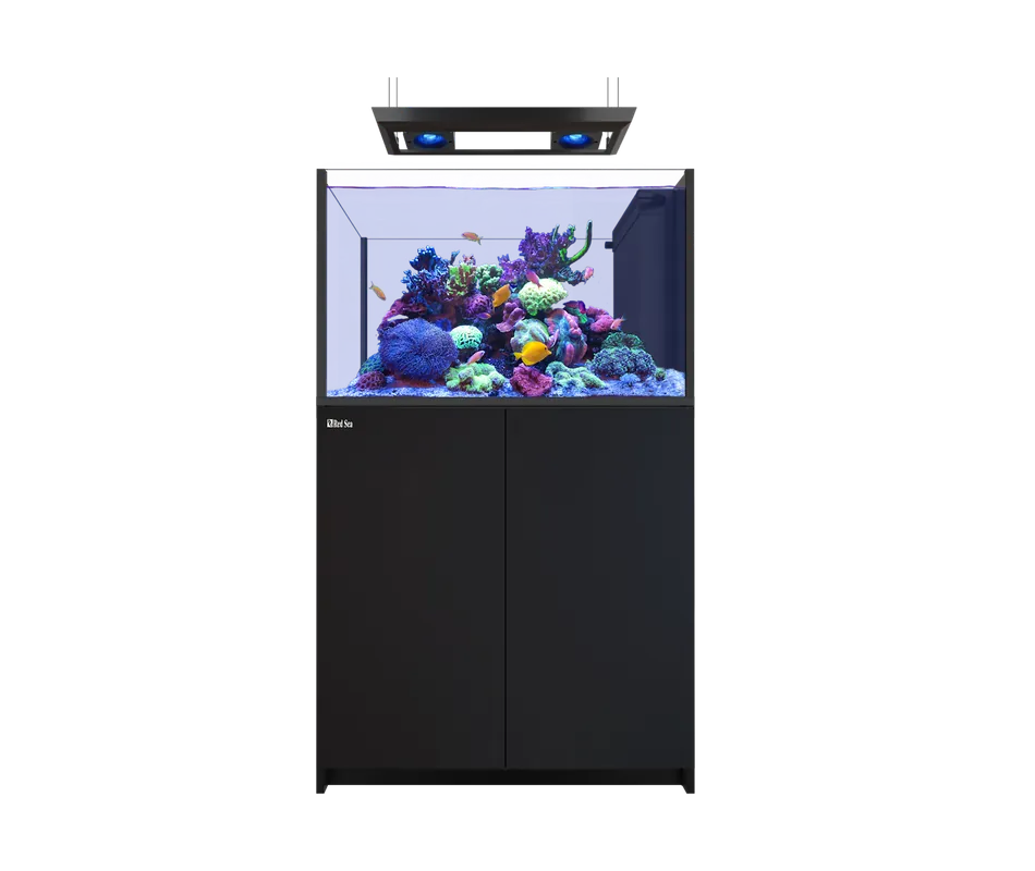 Red Sea REEFER PENINSULA 350 G3 DELUXE BLACK (INCL 2XRL115 & PENDANT)