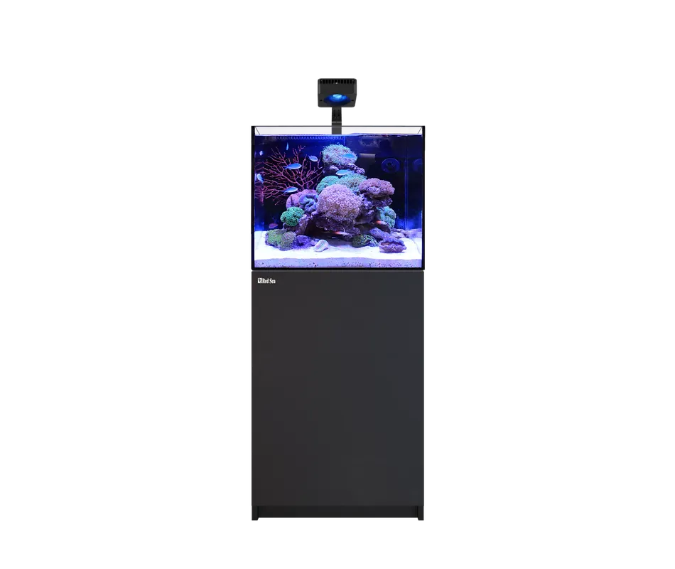 Red Sea REEFER 170 G3 DELUXE - BLACK (INCL. 1 X RL115 & ARM)