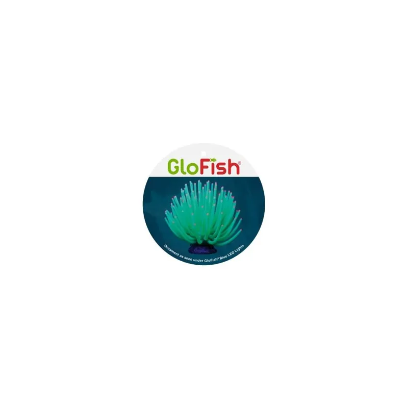 GloFish GLOFISH ANEMONE GREEN