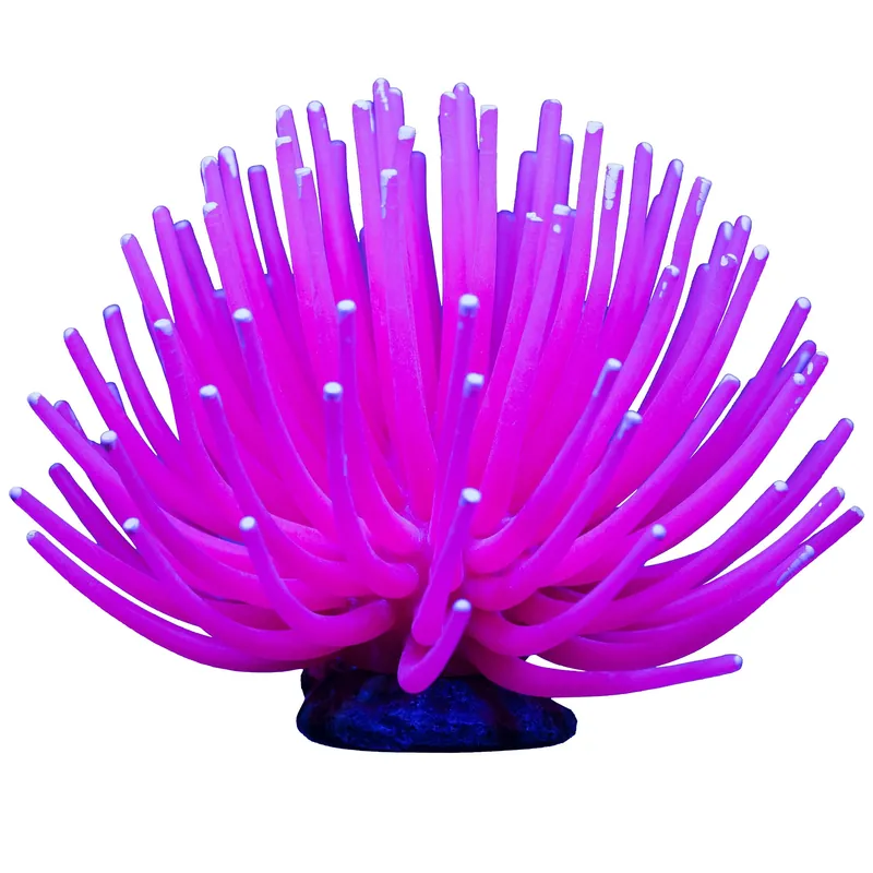 GloFish GLOFISH ANEMONE PINK
