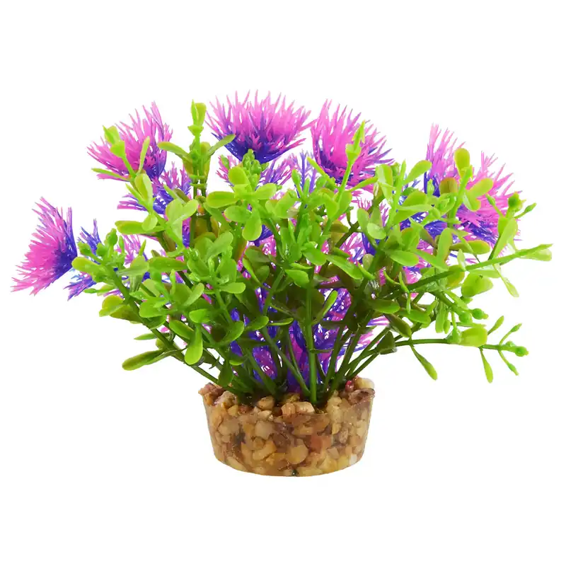 Underwater Treasures BACOMBA PURPLE 4"