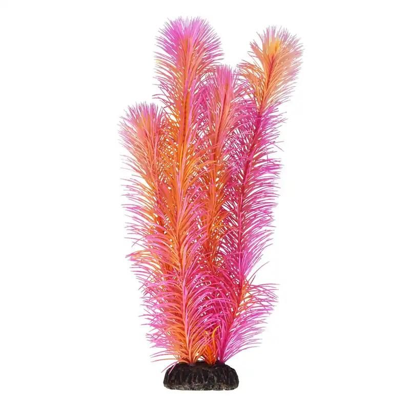 Underwater Treasures AMBULIA RED 12"