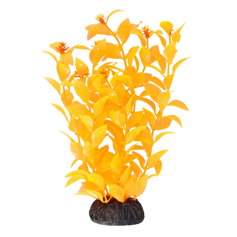 Underwater Treasures AMBULIA ORANGE 8"