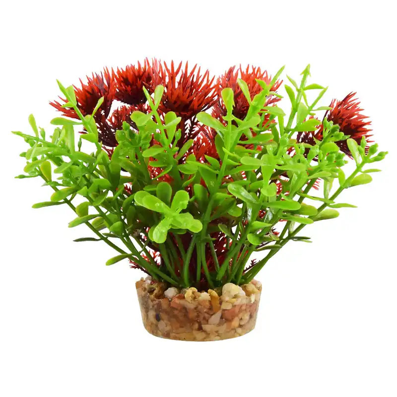 Underwater Treasures BACOMBA RED 4"