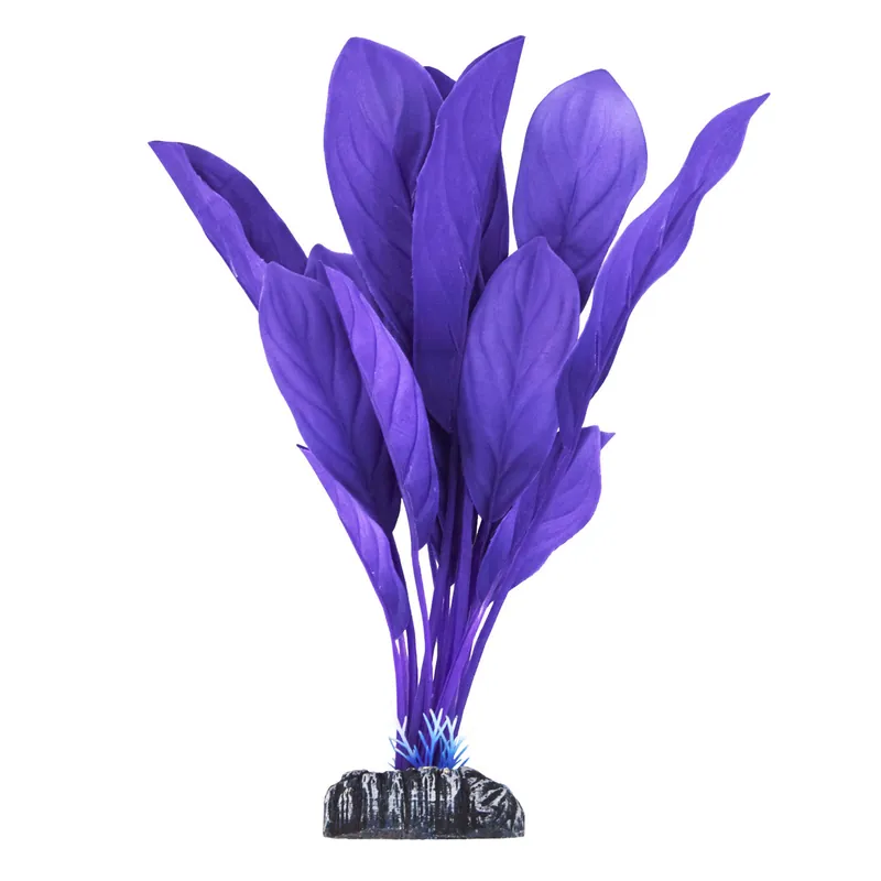 Underwater Treasures ANUBIAS PURPLE