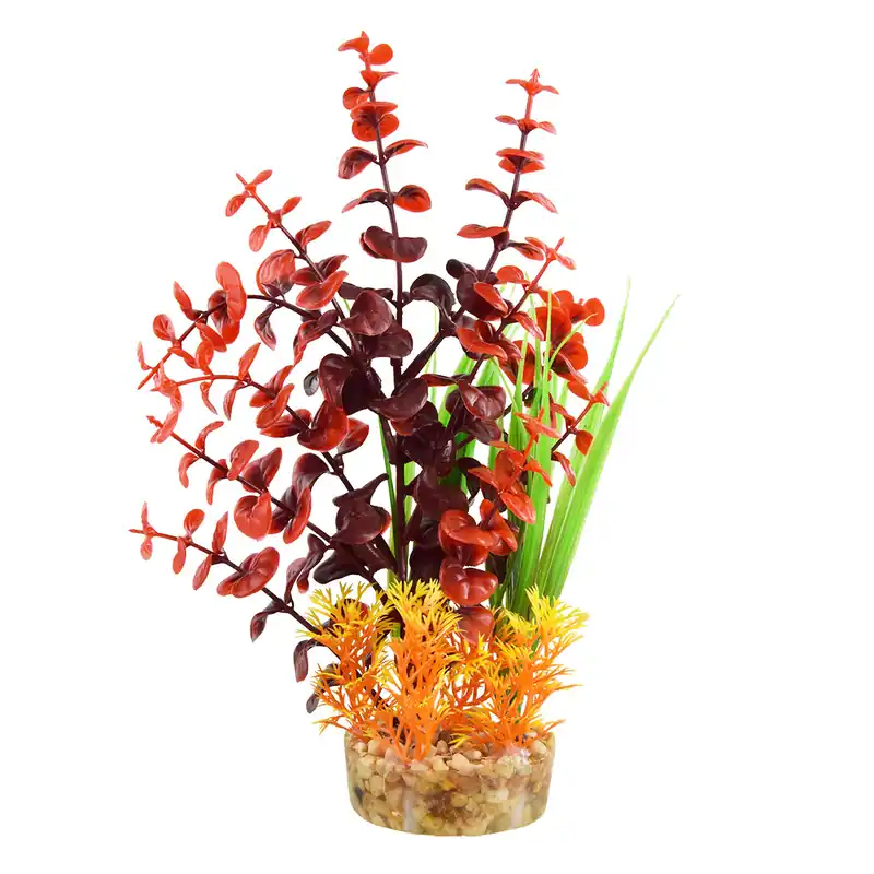 Underwater Treasures VARIETY FLAMES 10"