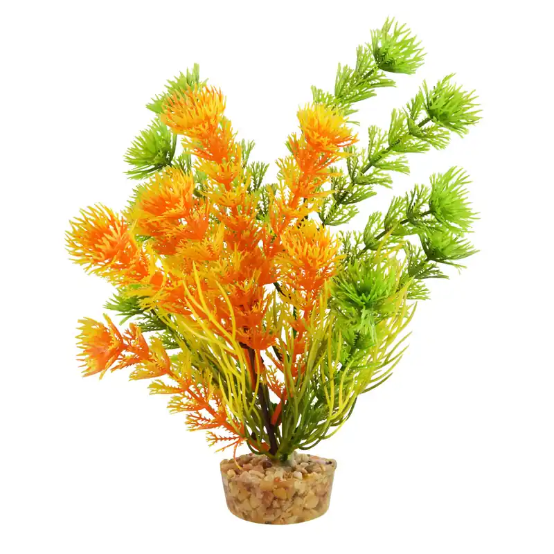 Underwater Treasures CABOMBA ORANGE 6"