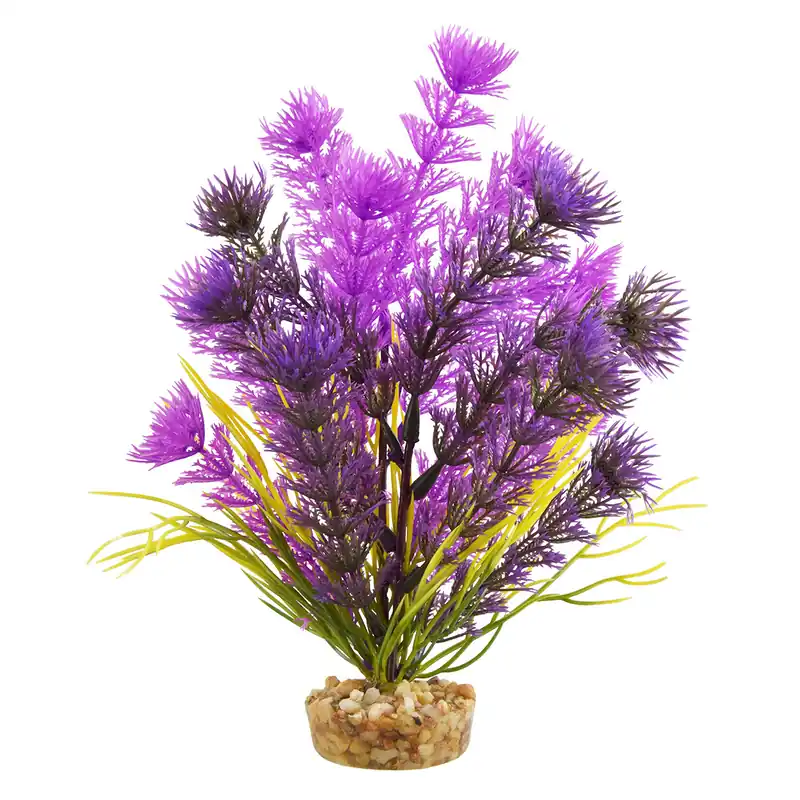 Underwater Treasures CABOMBA PURPLE 6"