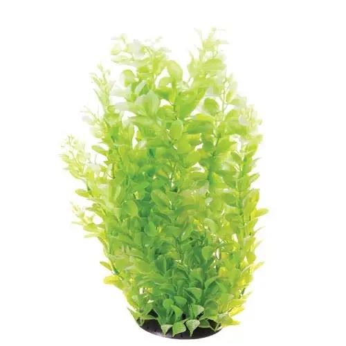 Underwater Treasures CARDAMINE WHITE TIPPED 16"