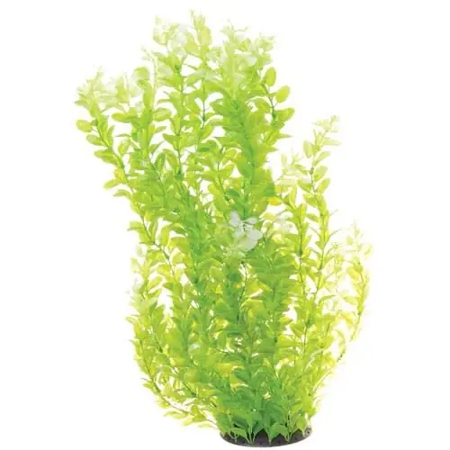 Underwater Treasures CARDAMINE WHITE TIPPED 24"