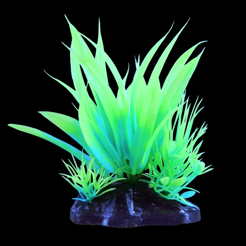 Underwater Treasures GLOW STAR PLANT GREEN