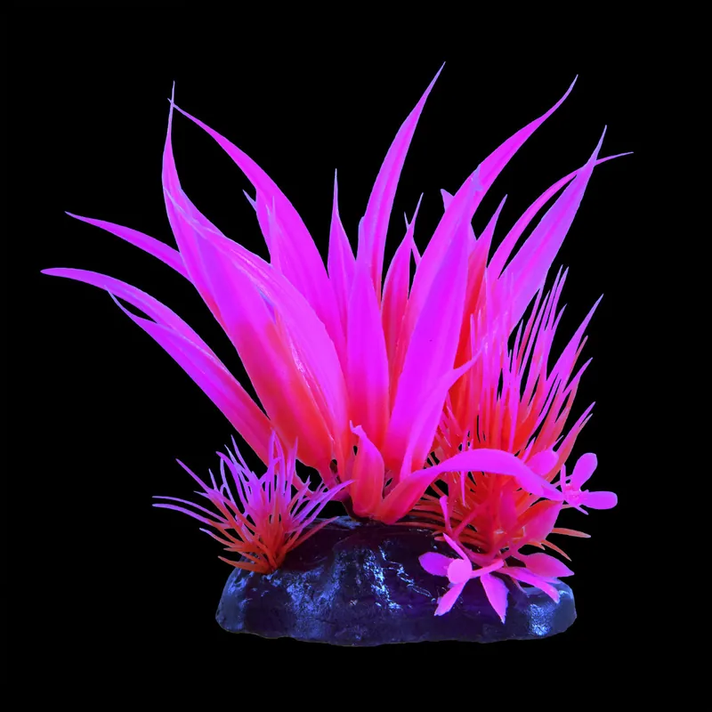 Underwater Treasures GLOW STAR PLANT PINK