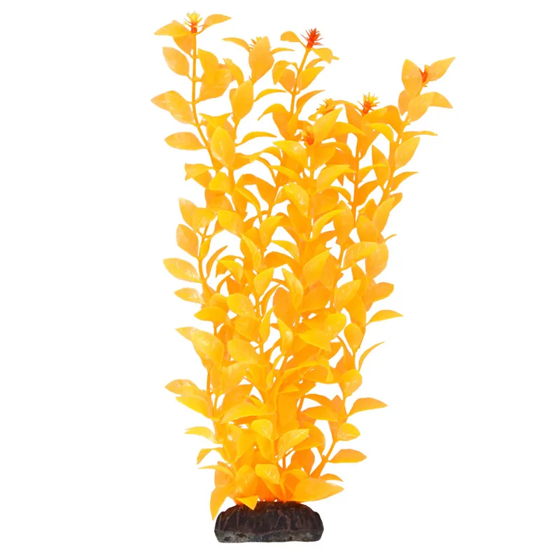Underwater Treasures LUDWIGIA ORANGE 12"