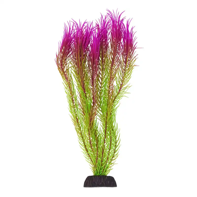 Underwater Treasures UT MAYACA PINK TIP