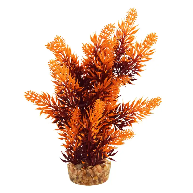 Underwater Treasures HYGRO TREE SUNSET 8"
