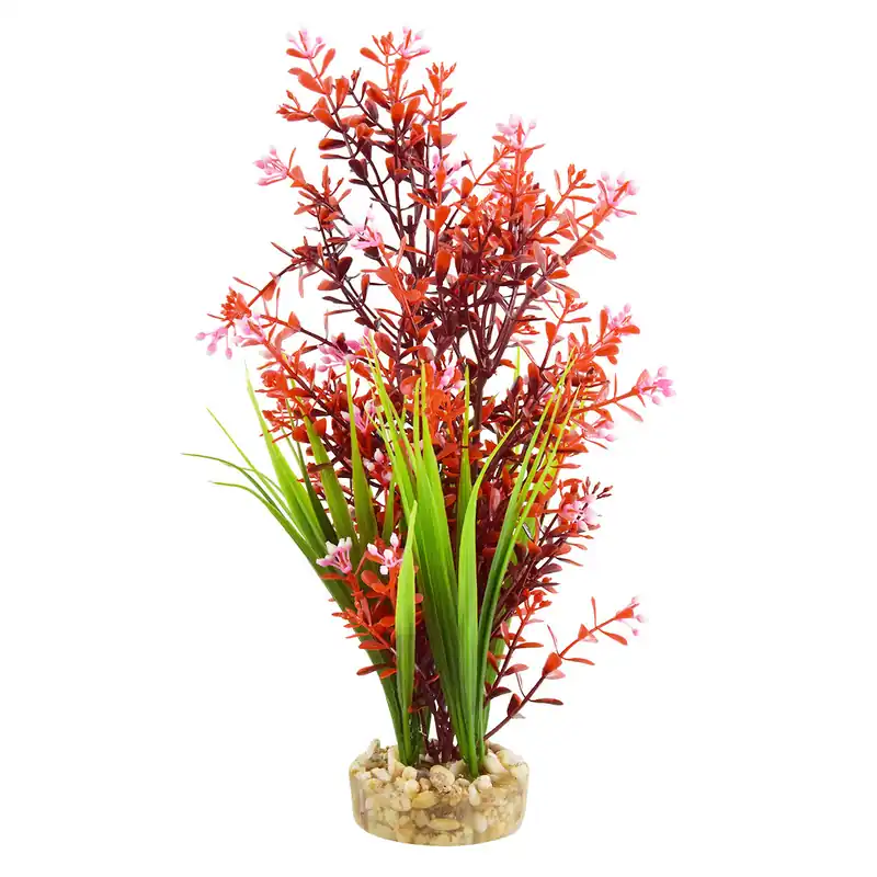 Underwater Treasures BACOPA FOUNTAIN 12"
