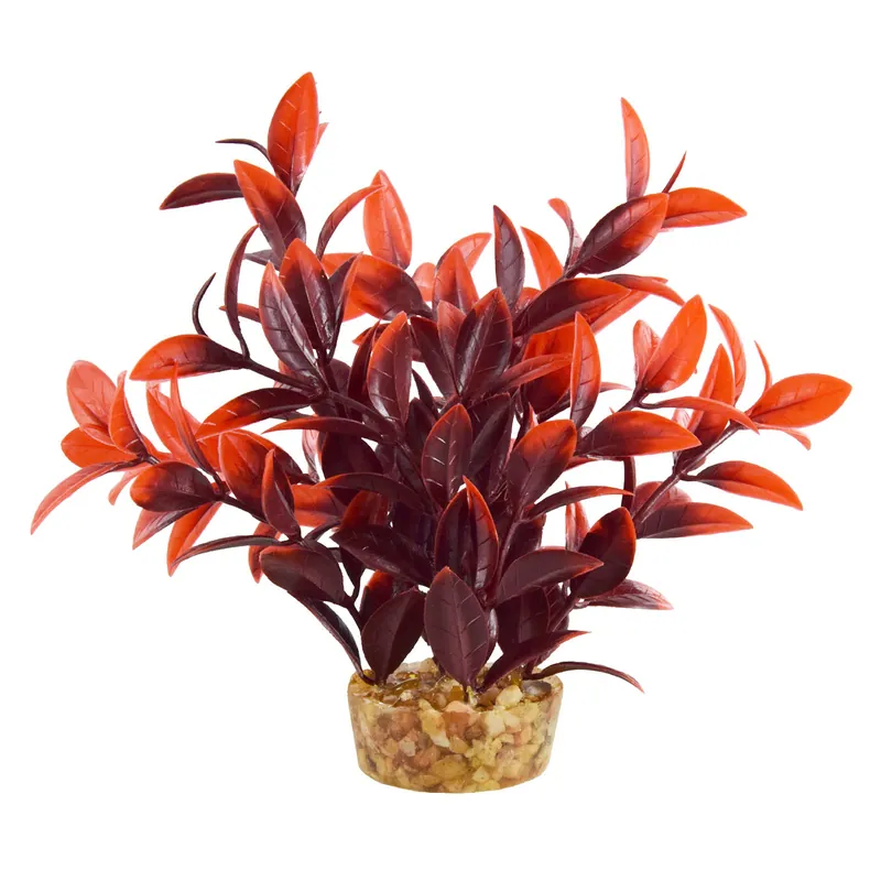 Underwater Treasures LUDWIGIA CHERRY 6"