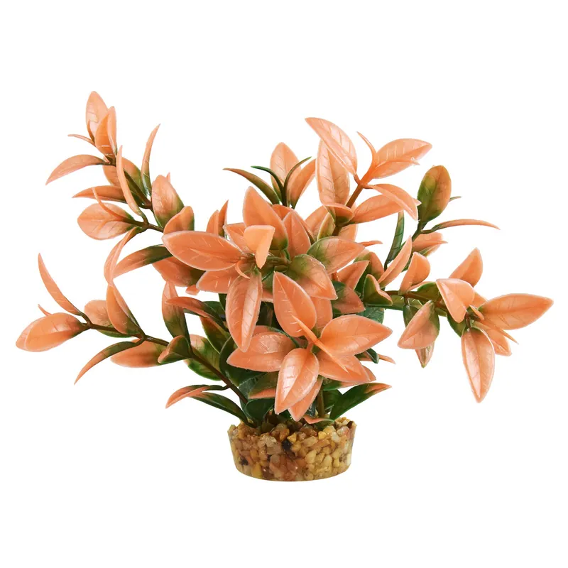 Underwater Treasures LUDWIGIA PEACH TIP 6"