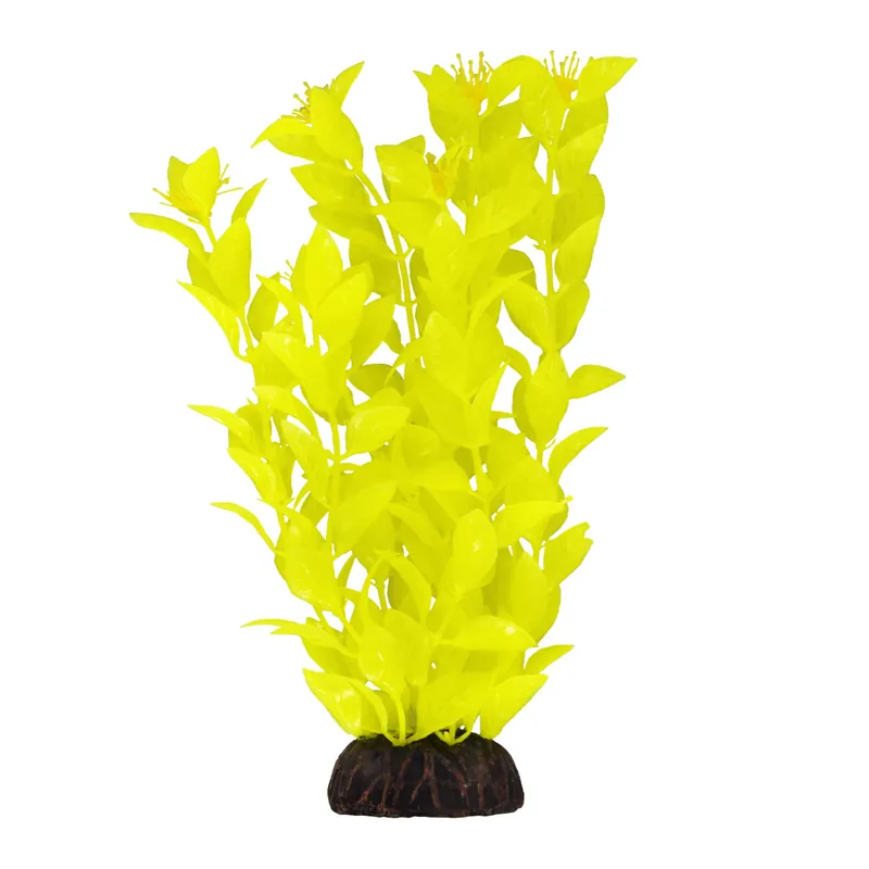 Underwater Treasures LUDWIGIA YELLOW 8"